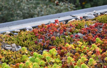 the cost of Llanedeyrn green roof installation