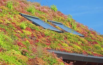Llanedeyrn living roof systems